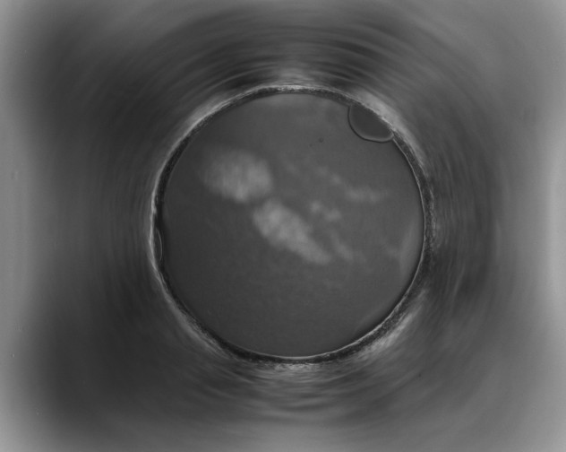 X0000088230845200705292132