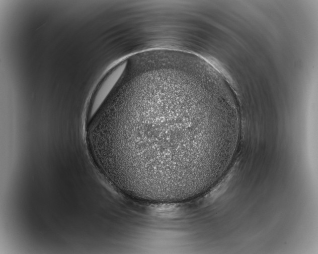 X0000088230846200705292132