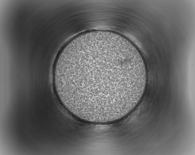 X0000088230848200705292132