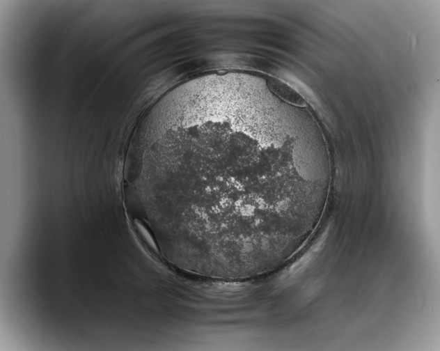 X0000088230849200705292132