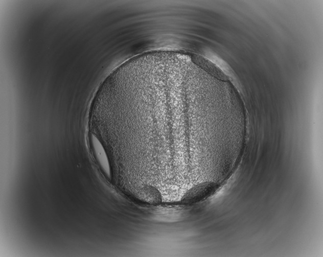 X0000088230850200705292132