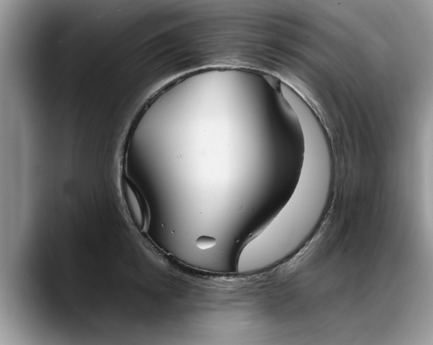 X0000088230854200705292132