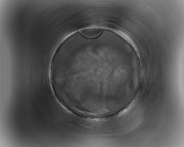 X0000088230855200705292132