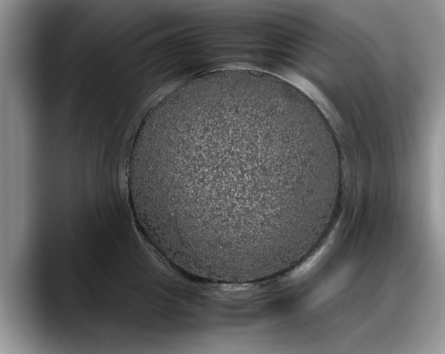 X0000088230857200705292132