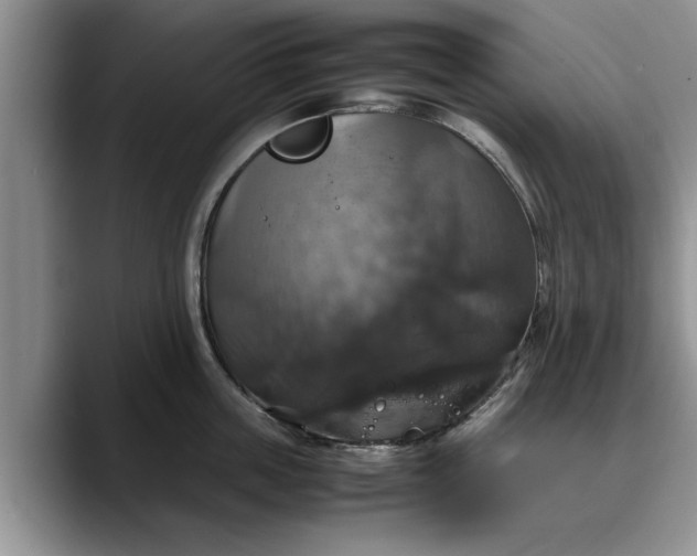 X0000088230859200705292132