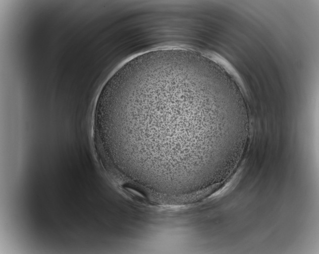 X0000088230860200705292132