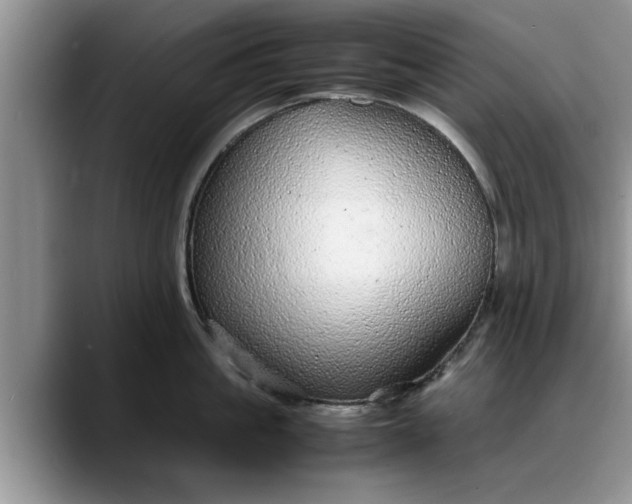 X0000088230861200705292132
