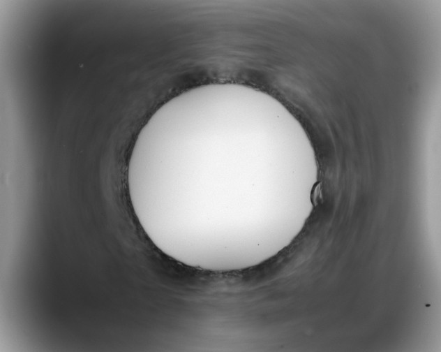 X0000088230865200705292132