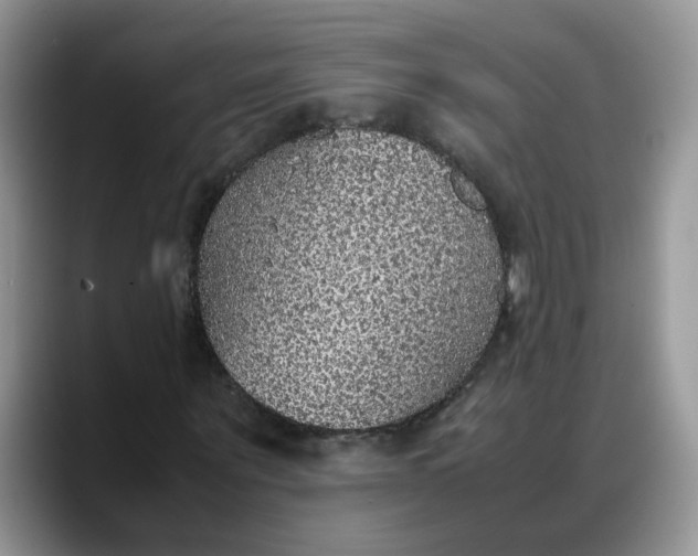 X0000088230867200705292132