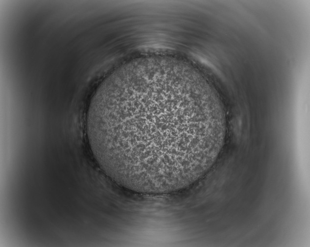 X0000088230870200705292132