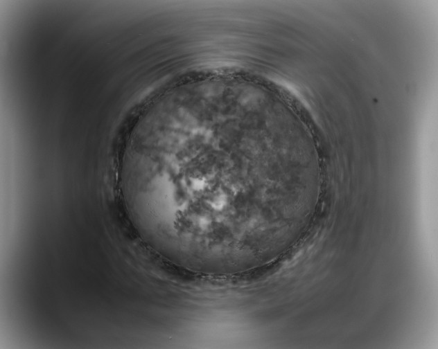 X0000088230871200705292132
