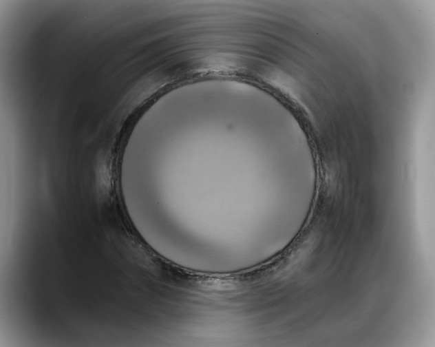 X0000088230874200705292132