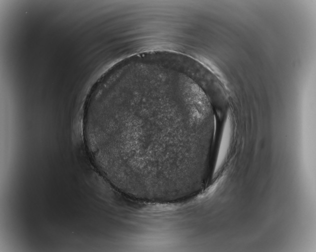 X0000088230877200705292132