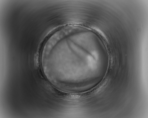 X0000088230878200705292132