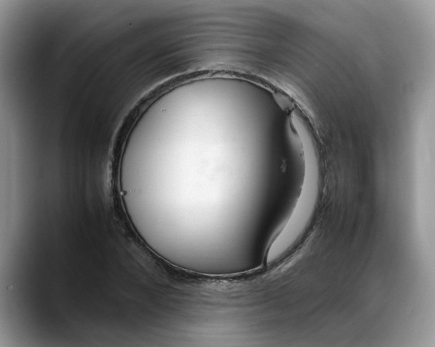 X0000088230880200705292132