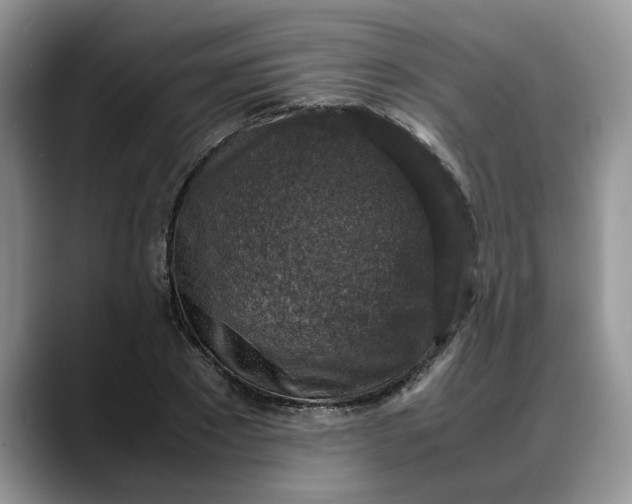 X0000088230881200705292132