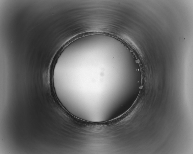 X0000088230884200705292132