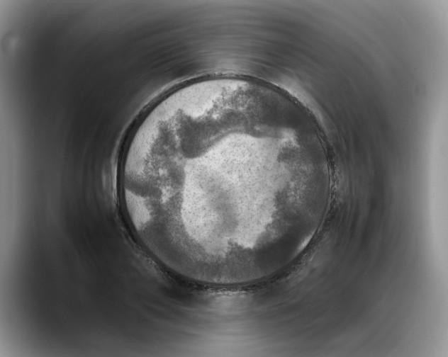 X0000088230886200705292132