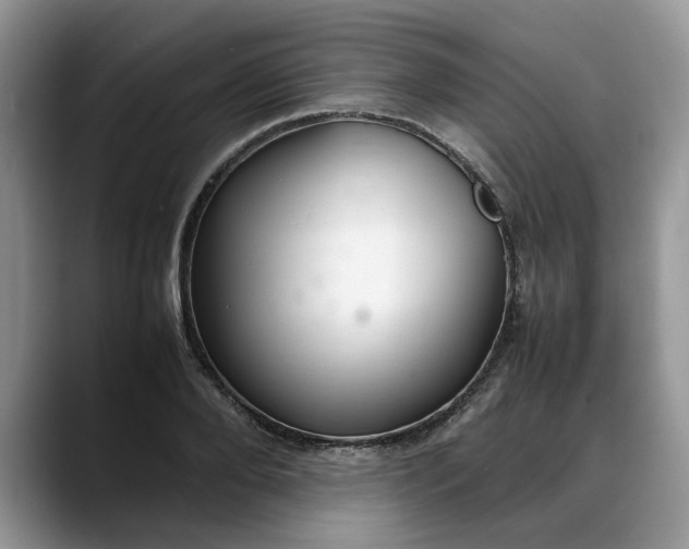 X0000088230888200705292131