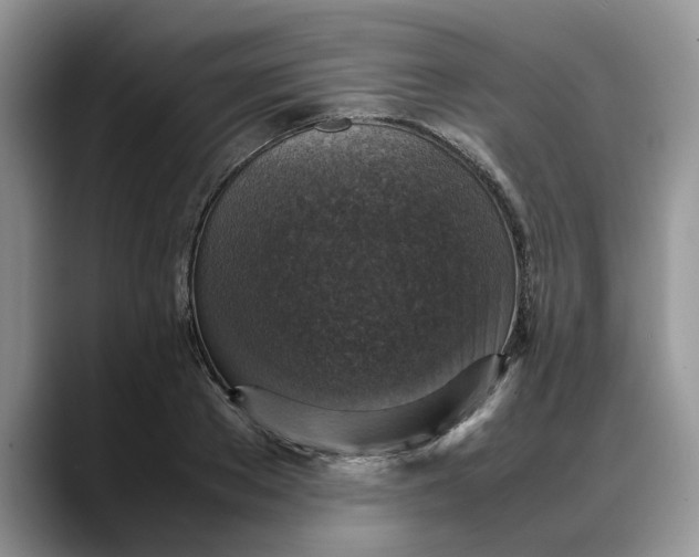 X0000088230889200705292131