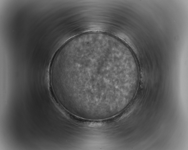 X0000088230890200705292131
