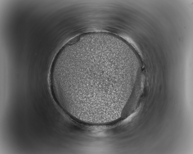 X0000088230893200705292131
