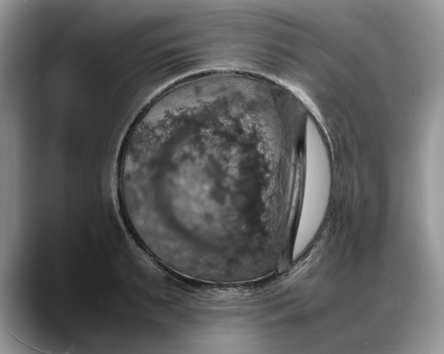 X0000088230895200705292131
