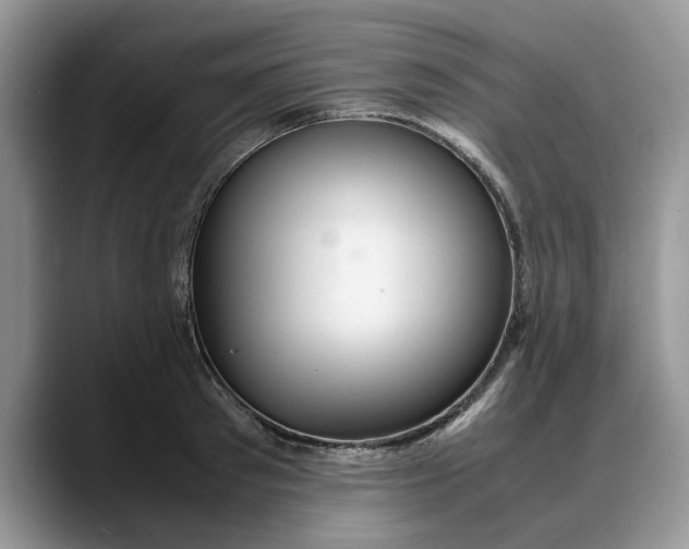 X0000088230897200705292131