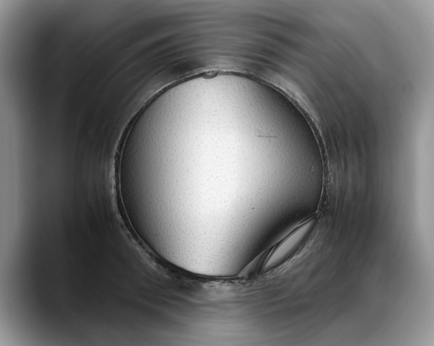 X0000088230898200705292131