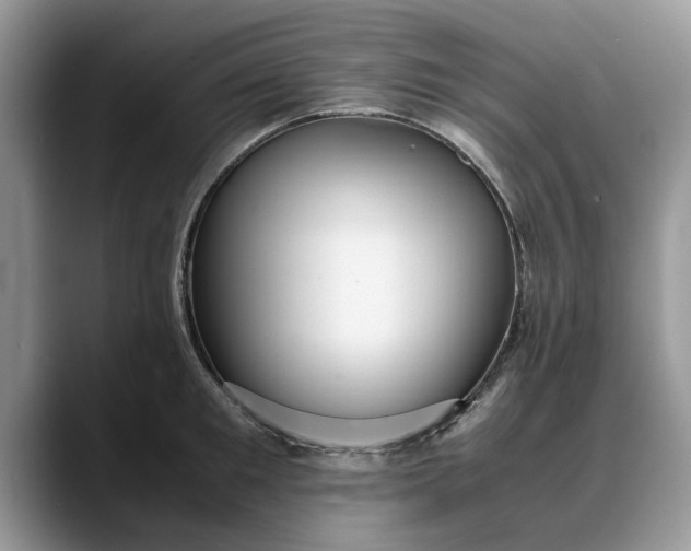 X0000088230901200705292131