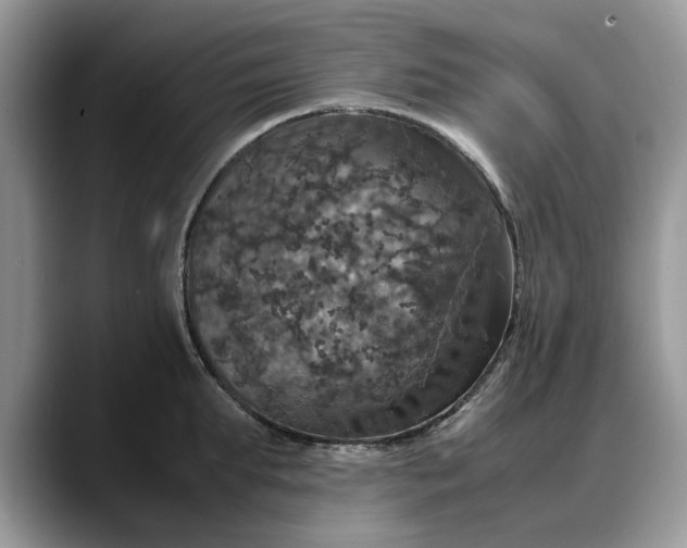 X0000088230903200705292131
