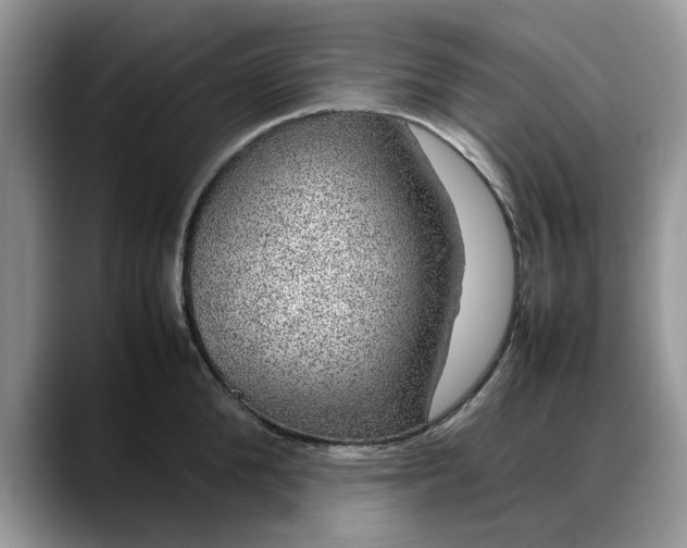 X0000088230904200705292131