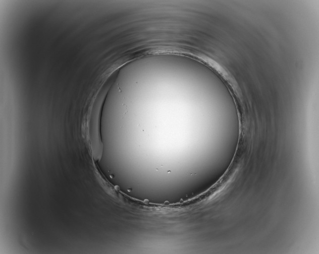 X0000088230905200705292131