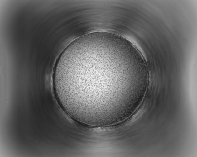 X0000088230906200705292131