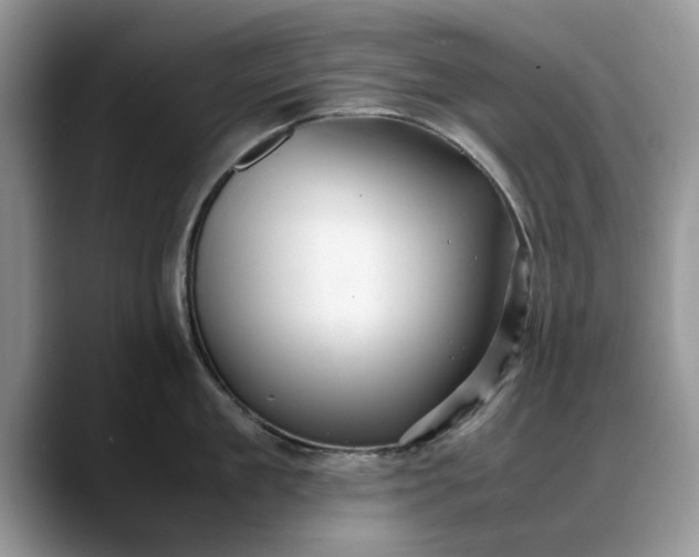 X0000088230909200705292131