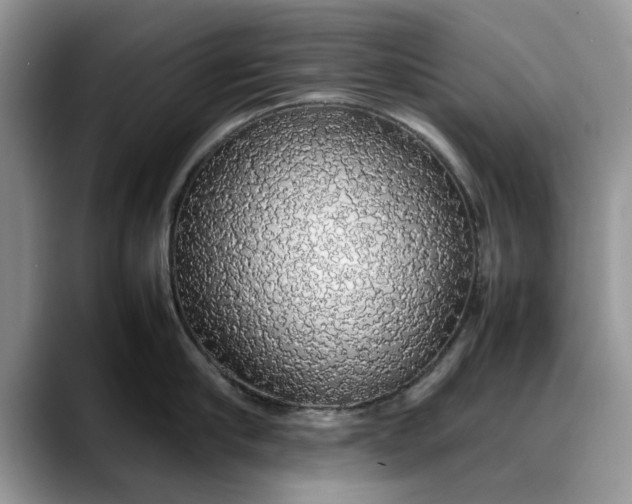 X0000088230910200705292131