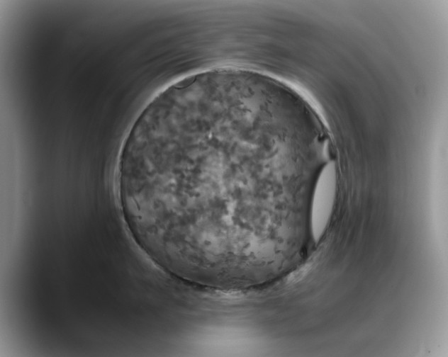 X0000088230911200705292131
