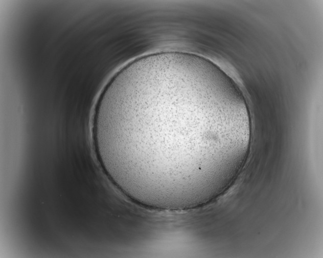 X0000088230912200705292131
