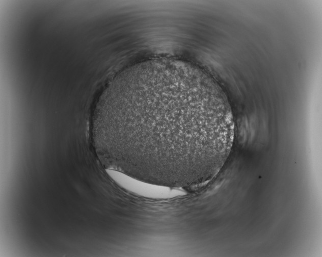X0000088230916200705292131