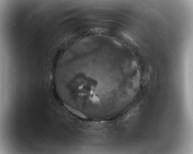 X0000088230917200705292131