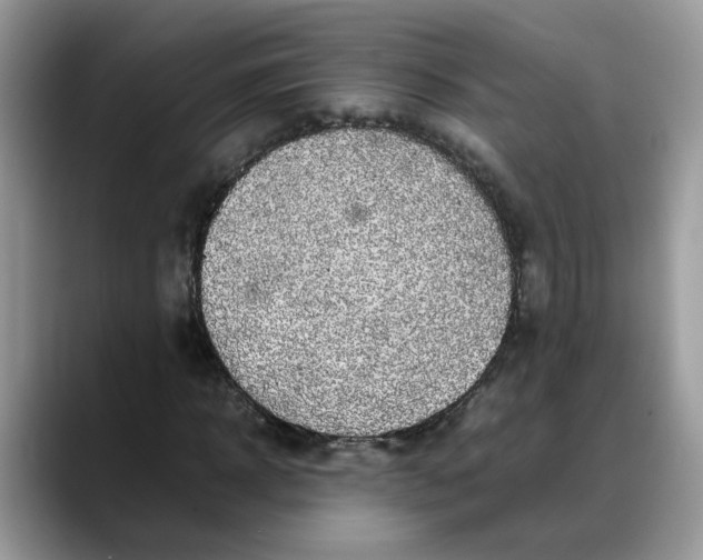 X0000088230918200705292131