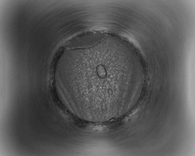X0000088230920200705292131