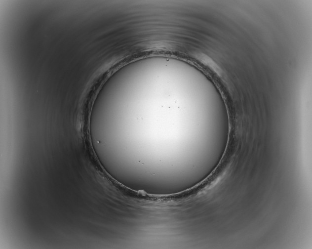 X0000088230922200705292131