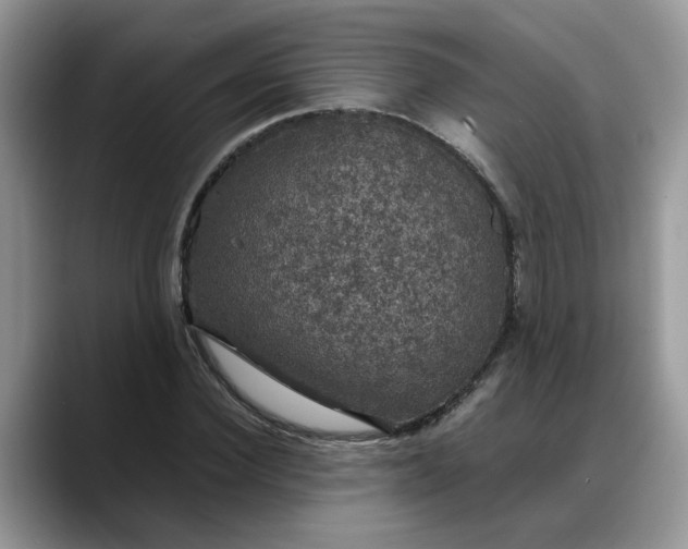 X0000088230924200705292131