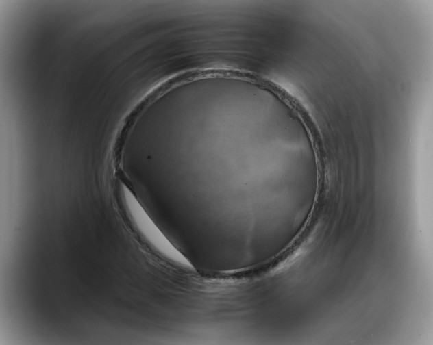 X0000088230925200705292131