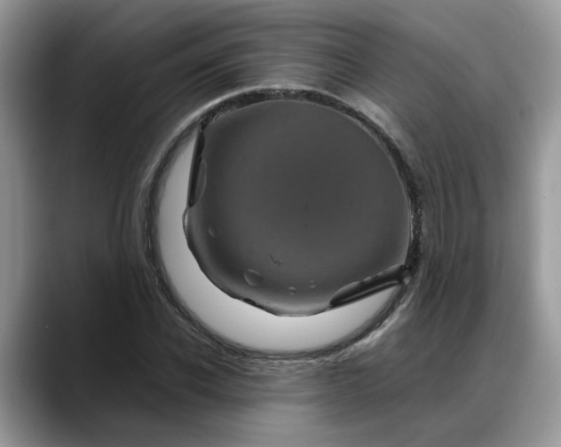 X0000088230926200705292131