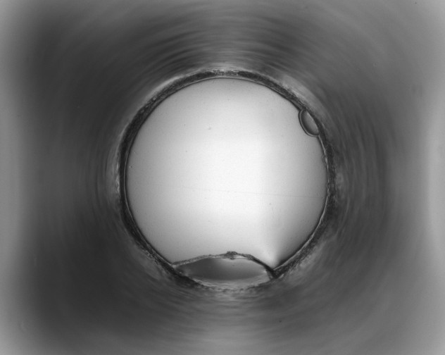 X0000088230934200705292131