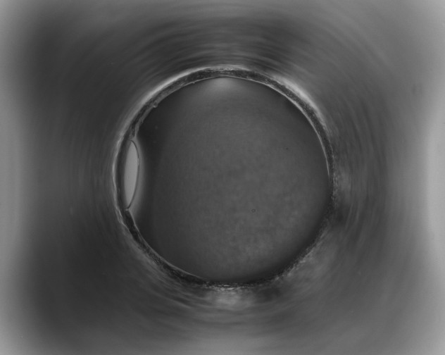 X0000088230935200705292131