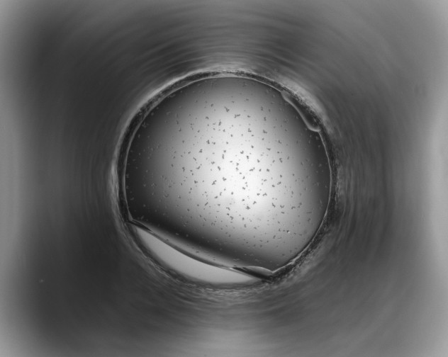 X0000088230936200705292131