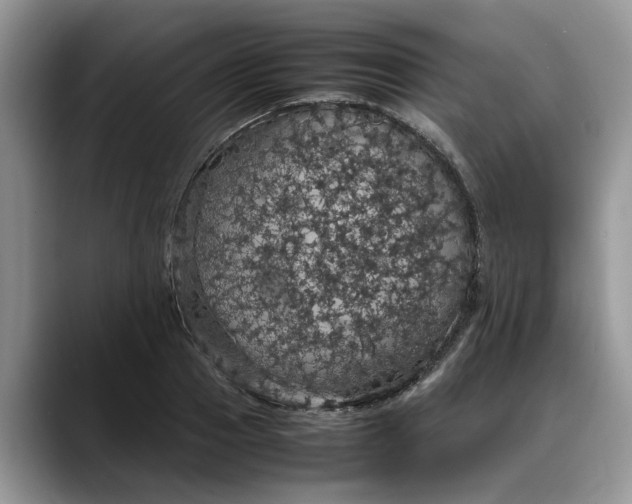 X0000088230937200705292131